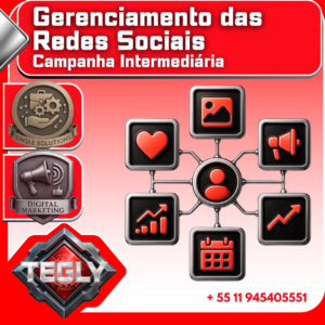 Gerenciamento de Redes Sociais - Pacote Intermediário