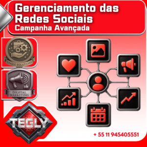 Gerenciamento de Redes Sociais - Pacote Avançado